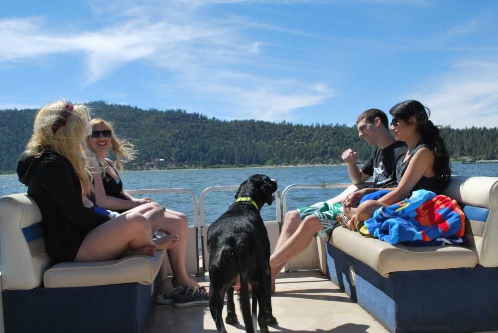 Play Dog Friendly Big Bear